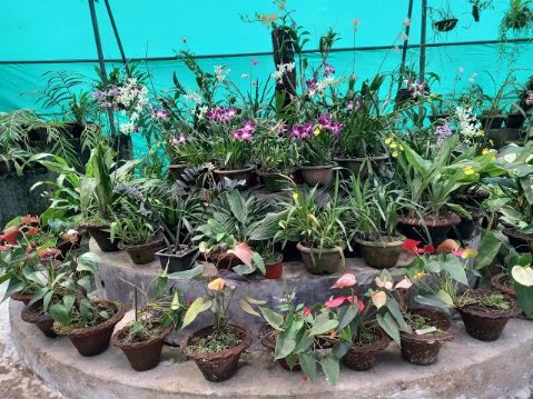 Orchid Park-3